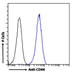 Invitrogen CD44 Recombinant Rabbit Monoclonal Antibody (SAIC-01B-4D8) 200