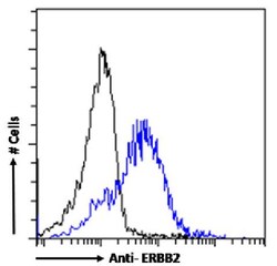 Invitrogen ErbB2 (HER-2) Recombinant Rabbit Monoclonal Antibody (SAIC-02A-7) 200 &mu;g | Buy Online | Invitrogen&trade; | Fisher Scientific
