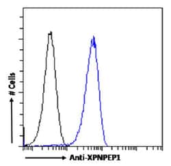 Invitrogen XPNPEP1 Recombinant Rabbit Monoclonal Antibody (SAIC-07B-14)