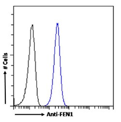 Invitrogen FEN1 Recombinant Rabbit Monoclonal Antibody (SAIC-21C-4) 200