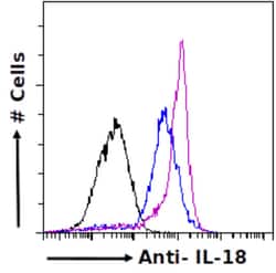 Invitrogen IL-18 Recombinant Rabbit Monoclonal Antibody (SAIC-24B-4) 200