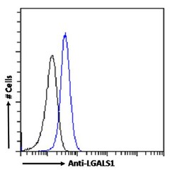 Invitrogen Galectin 1 Recombinant Rabbit Monoclonal Antibody (SAIC-25B-112)