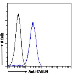 Invitrogen TAGLN Recombinant Rabbit Monoclonal Antibody (SAIC-33B-129)
