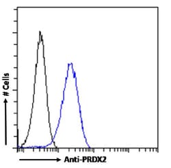 Invitrogen PRDX2 Recombinant Rabbit Monoclonal Antibody (SAIC-34B-124)