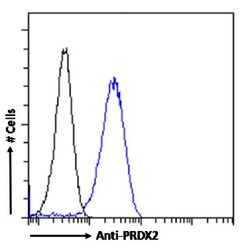 Invitrogen PRDX2 Recombinant Rabbit Monoclonal Antibody (SAIC-34D-11) 200 &mu;g | Buy Online | Invitrogen&trade; | Fisher Scientific