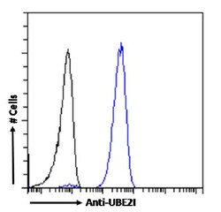 Invitrogen UBC9 Recombinant Rabbit Monoclonal Antibody (SAIC-36A-9) 200