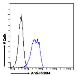 Invitrogen PRDX4 Recombinant Rabbit Monoclonal Antibody (SAIC-40C-8) 200