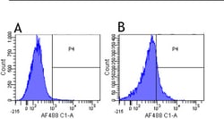 Invitrogen PD-L1 (CD274) Chimeric Recombinant Rabbit Monoclonal Antibody