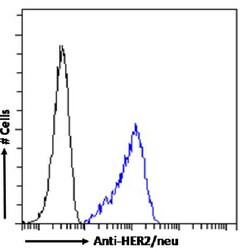 Invitrogen ErbB2 (HER-2) Recombinant Mouse Monoclonal Antibody (SER4) 200