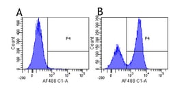 Invitrogen SIRP beta/gamma Chimeric Recombinant Rabbit Monoclonal Antibody