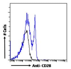 Invitrogen CD28 Recombinant Mouse Monoclonal Antibody (1C6) 200 &mu;g;