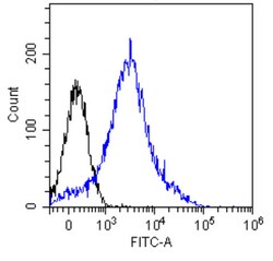 Invitrogen CD8b Chimeric Recombinant Rabbit Monoclonal Antibody (YTS 156.7.7)