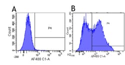 Invitrogen™ L-Selectin (CD62L) Chimeric Recombinant Rabbit Monoclonal Antibody (DREG-56)