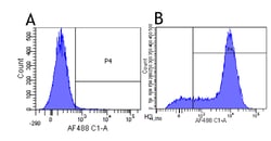 Invitrogen CD44 Chimeric Recombinant Rabbit Monoclonal Antibody (Hermes-1) 200 &mu;g | Buy Online | Invitrogen&trade; | Fisher Scientific
