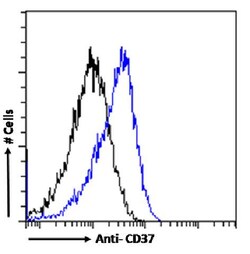 Invitrogen CD37 Recombinant Mouse Monoclonal Antibody (MB-1) 200 &mu;g;