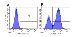 Invitrogen Natalizumab Chimeric Recombinant Rabbit Monoclonal Antibody (Natalizumab) 200 &mu;g | Buy Online | Invitrogen&trade; | Fisher Scientific