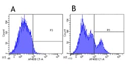 Invitrogen Epratuzumab Chimeric Recombinant Rabbit Monoclonal Antibody