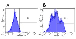 Invitrogen Epratuzumab Chimeric Recombinant Rabbit Monoclonal Antibody
