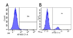 Invitrogen Epratuzumab Chimeric Recombinant Rabbit Monoclonal Antibody