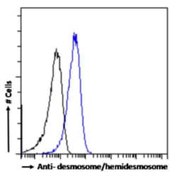 Invitrogen Desmosome/Hemidesmosome Chimeric Recombinant Rabbit Monoclonal