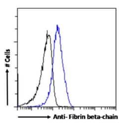 Invitrogen FIBB Chimeric Recombinant Rabbit Monoclonal Antibody (8E5) 200