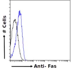 Invitrogen FAS (CD95) Chimeric Recombinant Rabbit Monoclonal Antibody (R-125224) 200 &mu;g | Buy Online | Invitrogen&trade; | Fisher Scientific
