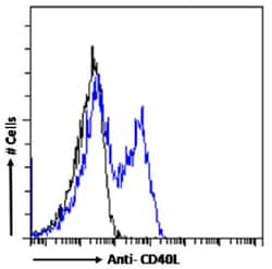 Invitrogen CD154 (CD40 Ligand) Chimeric Recombinant Rabbit Monoclonal Antibody