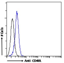 Invitrogen CD154 (CD40 Ligand) Chimeric Recombinant Rabbit Monoclonal Antibody