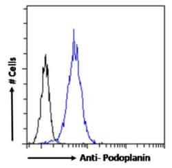 Invitrogen Podoplanin Chimeric Recombinant Rabbit Monoclonal Antibody (PMab-1)