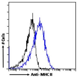 Invitrogen MHC Class II (I-A/I-E) Chimeric Recombinant Rabbit Monoclonal