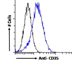 Invitrogen CD35 Chimeric Recombinant Rabbit Monoclonal Antibody (HB-8592) 200 &mu;g | Buy Online | Invitrogen&trade; | Fisher Scientific
