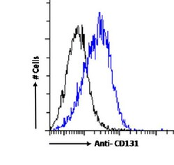Invitrogen CSF2RB Chimeric Recombinant Rabbit Monoclonal Antibody (BION-1)