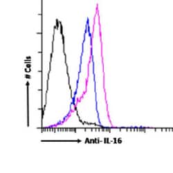 Invitrogen IL-16 Chimeric Recombinant Rabbit Monoclonal Antibody (14.1)