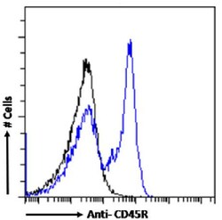 Invitrogen CD45R Chimeric Recombinant Rabbit Monoclonal Antibody (RA3-6B2)