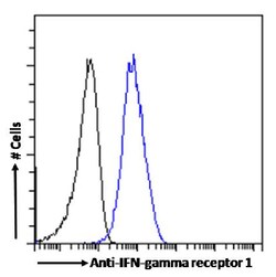 Invitrogen IFNGR1 (CD119) Chimeric Recombinant Rabbit Monoclonal Antibody