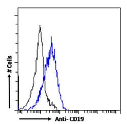 Invitrogen CD19 Chimeric Recombinant Rabbit Monoclonal Antibody (CAT-13.1E10)