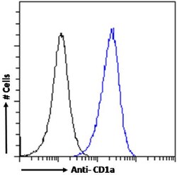 CD1a Chimeric Recombinant Rabbit Monoclonal Antibody (CBT6):Antibodies,