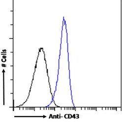 Invitrogen CD43 Chimeric Recombinant Rabbit Monoclonal Antibody (84-3C1)