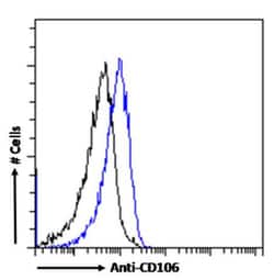 Invitrogen VCAM-1 (CD106) Chimeric Recombinant Rabbit Monoclonal Antibody