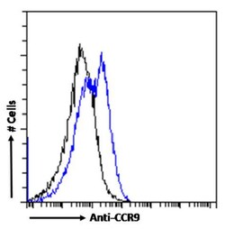 Invitrogen CCR9 Chimeric Recombinant Rabbit Monoclonal Antibody (9B1) 200