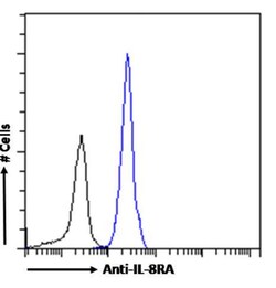 CXCR1 Chimeric Recombinant Rabbit Monoclonal Antibody (SE2):Antibodies,