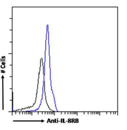 Invitrogen CXCR2 Chimeric Recombinant Rabbit Monoclonal Antibody (HC2)