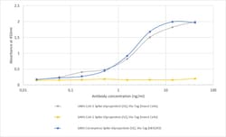Invitrogen SARS-CoV/SARS-CoV-2 Spike Protein S1 Recombinant Human Monoclonal