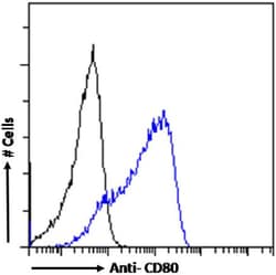 Invitrogen CD80 (B7-1) Chimeric Recombinant Rabbit Monoclonal Antibody