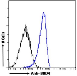 Invitrogen BRD4 Chimeric Recombinant Rabbit Monoclonal Antibody (RAB-C131)
