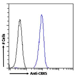 Invitrogen HP1 alpha Chimeric Recombinant Rabbit Monoclonal Antibody (RAB-C133)