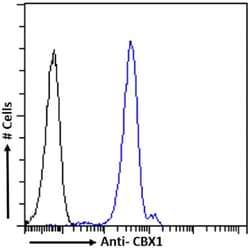 Invitrogen HP1 beta Chimeric Recombinant Rabbit Monoclonal Antibody (RAB-C145)