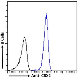 Invitrogen CBX2 Chimeric Recombinant Rabbit Monoclonal Antibody (RAB-C238)