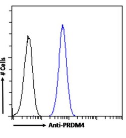 Invitrogen PRDM9 Chimeric Recombinant Rabbit Monoclonal Antibody (RAB-C370)