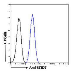Invitrogen SETD7 Chimeric Recombinant Rabbit Monoclonal Antibody (RAB-C220) 200 &mu;g | Buy Online | Invitrogen&trade; | Fisher Scientific